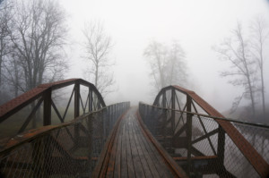 桥在雾中