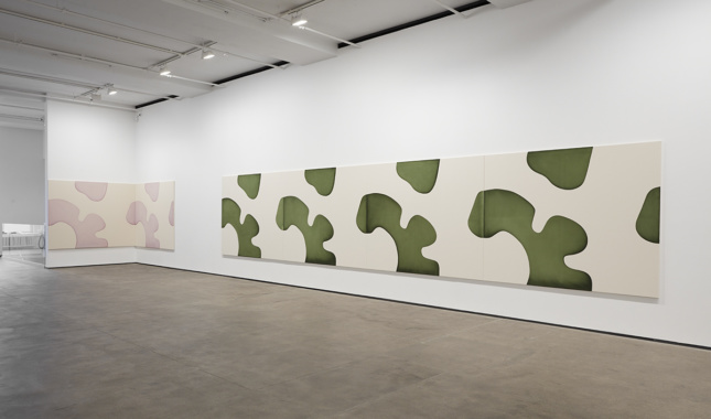 兰登·梅茨的装置视图:肖恩·凯利画廊的不对称对称