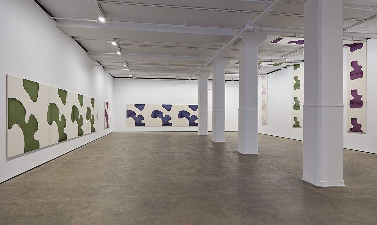 《兰登·梅斯:不对称的对称》在肖恩·凯利画廊展出