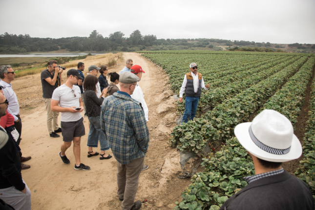 范·艾伦研究所气候委员会会议的与会者参观了加利福尼亚州沃森维尔德里斯科尔农场的草莓田。如果城市用水能像这些工厂一样精确地管理会怎样?