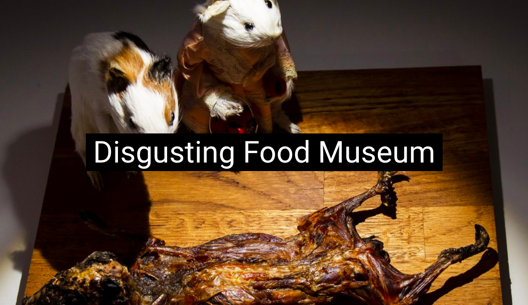 恶心食物博物馆