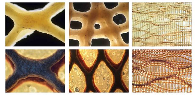 六张生物复合材料面板的特写照片。