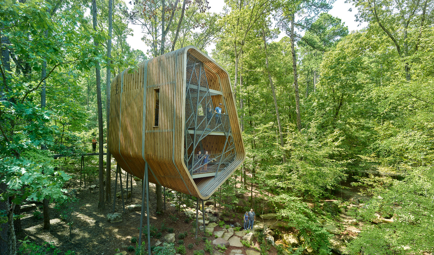 绿色森林中的两层树屋的照片