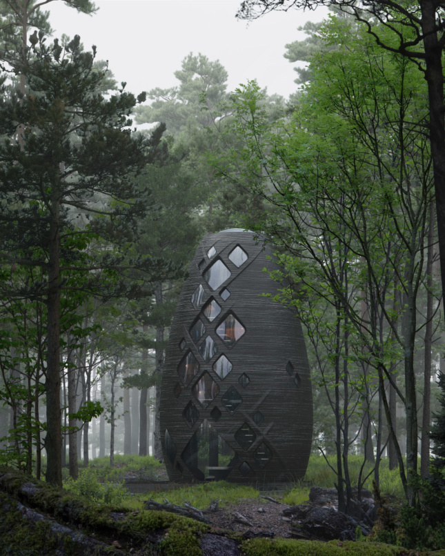 一个鸡蛋形状的黑色建筑，在森林中有一排垂直的窗户