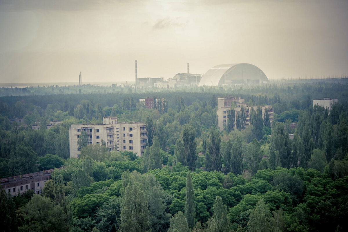 图片上的树望着老核电站，切尔诺贝利