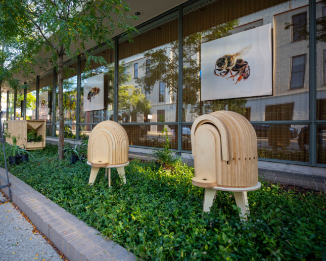 2019年哥伦布展览期间，两种不同风格的木制蜂巢的照片