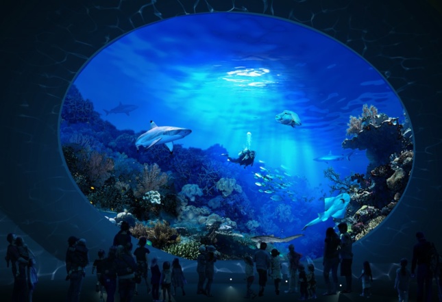 西雅图水族馆鲨鱼缸的效果图