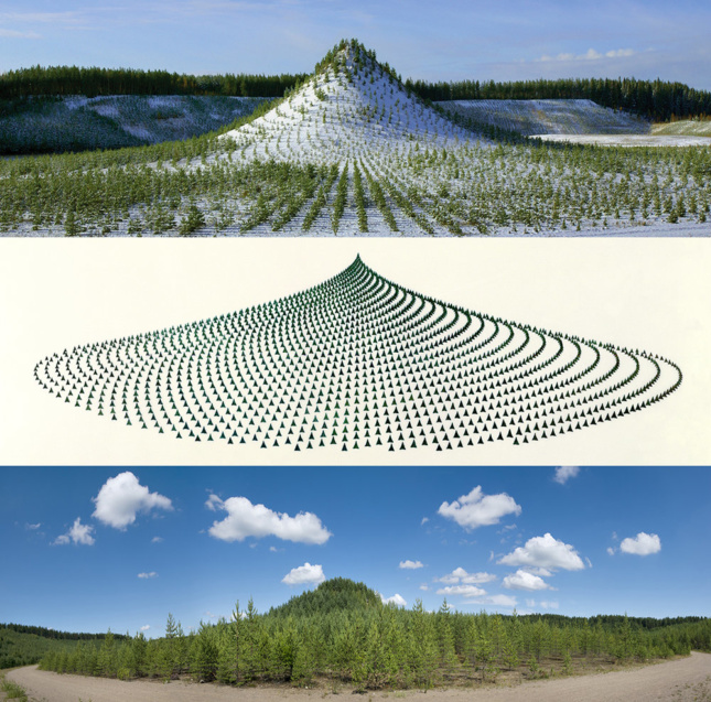 三部分图，显示山、树的布局和最终森林的渲染图