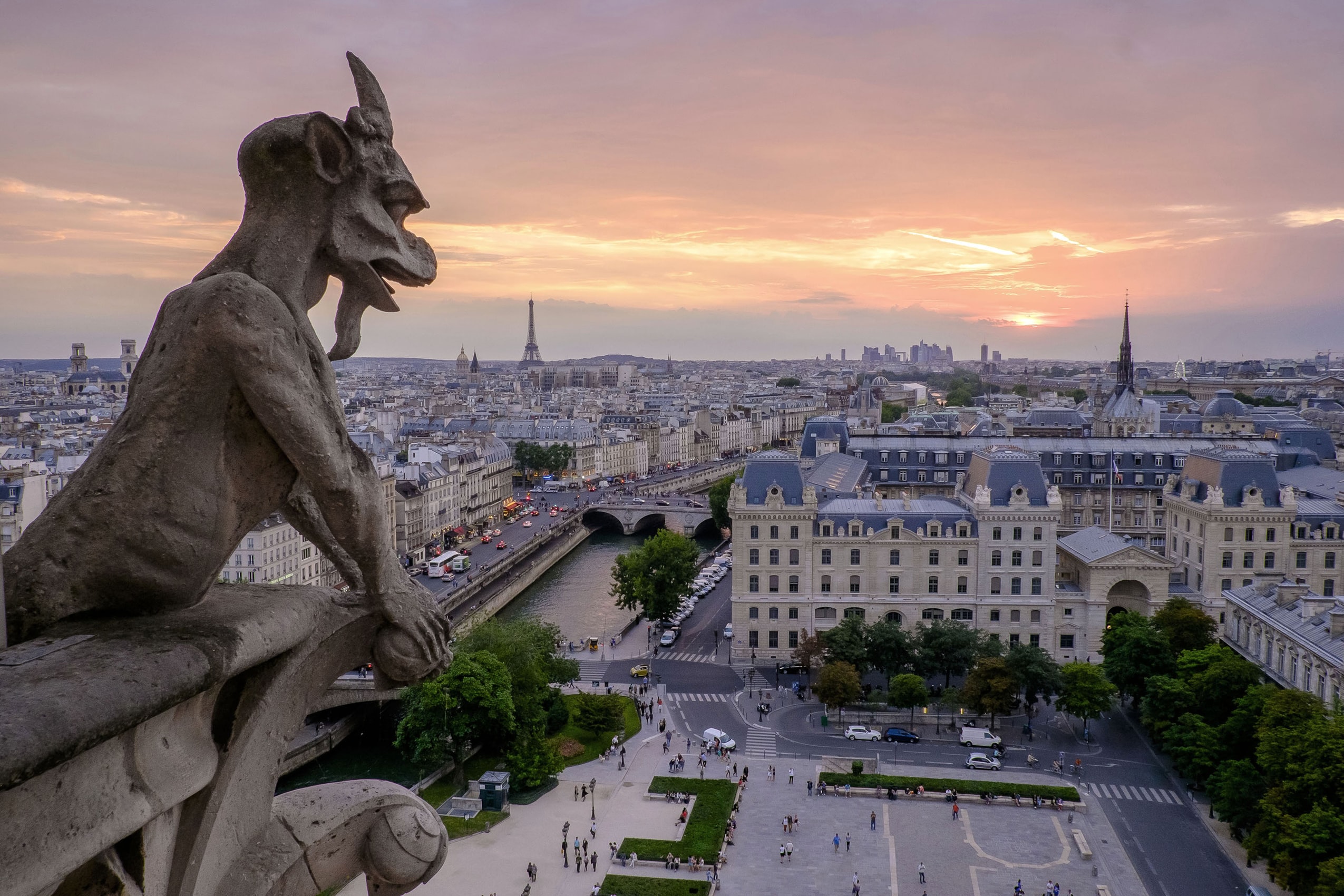 来自巴黎圣母院屋顶的照片显示了一个滴水嘴兽
