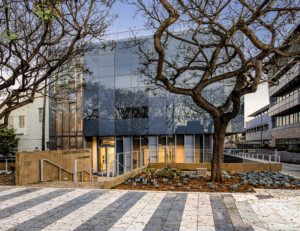 一个带有景观和铺装的当代玻璃政府大楼的外景照片