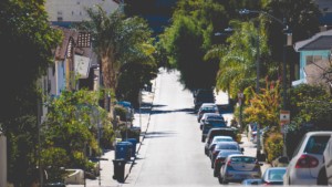 洛杉矶的绿树成荫的街道，其中一段将被树冠实验室覆盖