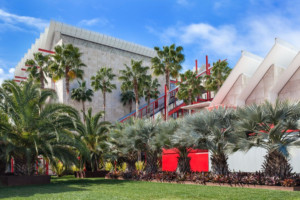 一个有棕榈树的艺术博物馆校园，将推出不朽的视角