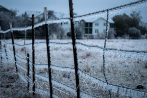 一场暴风雨过后，冰冻的德克萨斯州被冻住了，有刺的围栏上有冰柱