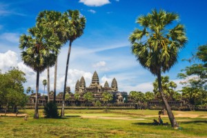 柬埔寨一处古寺遗址，树木繁茂