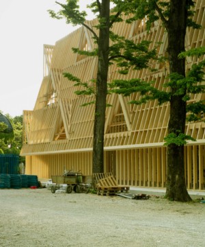 这是2021年威尼斯建筑双年展上的一个装置作品，展示了一座三层木框架的房子