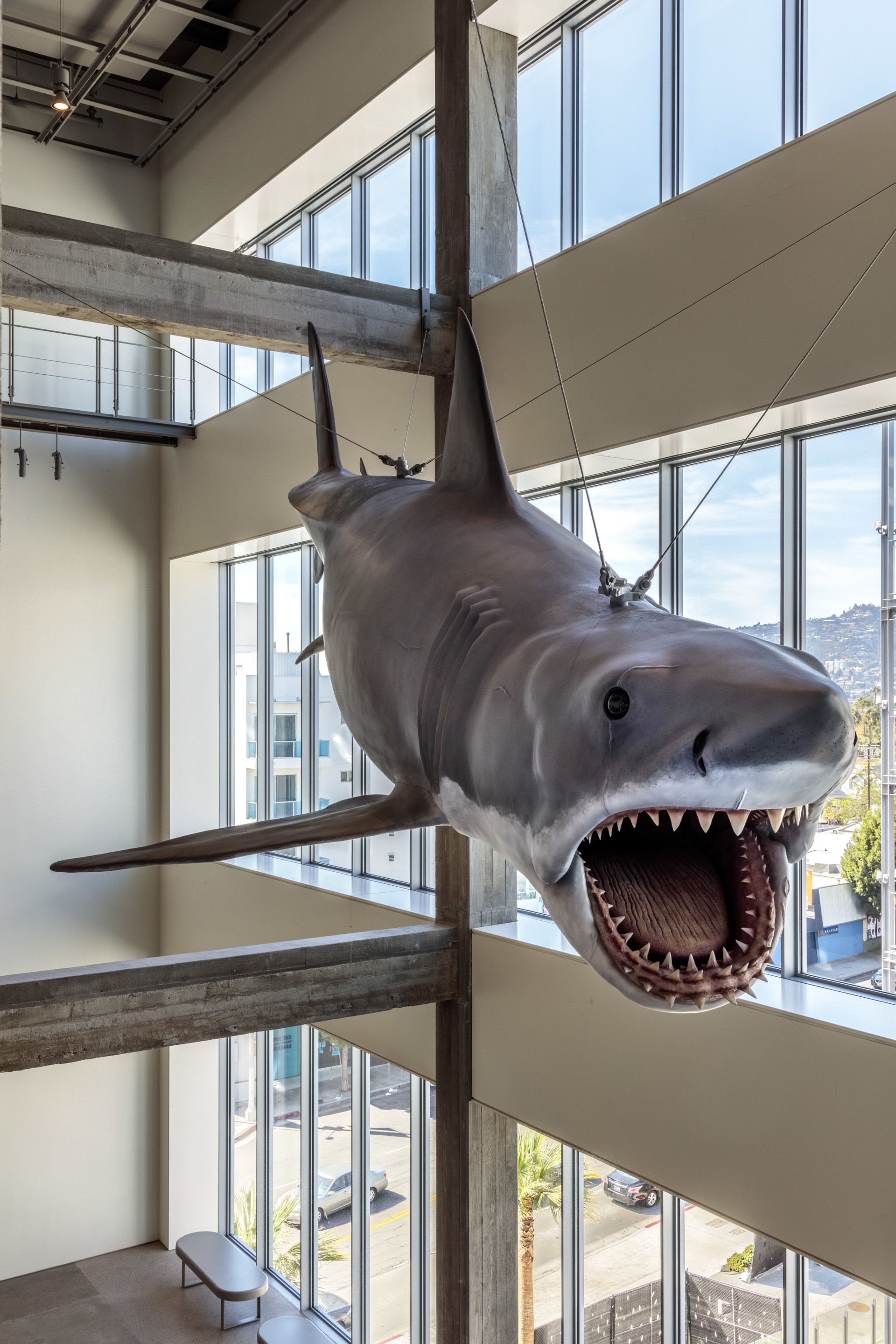 这张照片描绘了博物馆里一只悬浮的电子鲨鱼