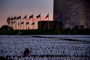 华盛顿特区聚集了一片白旗的海洋，上面写着“在美国:记住”
