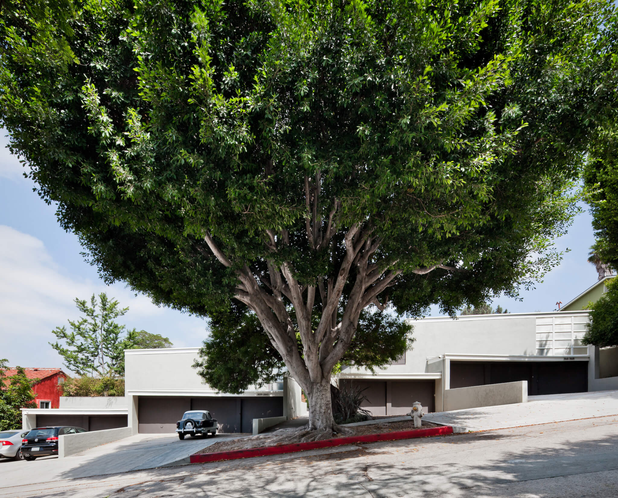 一座现代主义风格的住宅，坐落在一条多山的街道上，前面有一棵大树