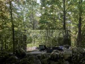 由Leckie Studio Architecture + Design设计的森林中镜像小屋