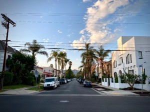 洛杉矶一条两旁栽满棕榈树的住宅街道