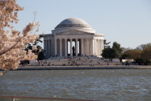 前景中有一棵樱桃树的杰斐逊纪念堂