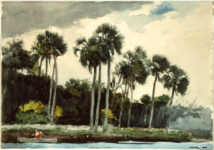 这幅画描绘的是佛罗里达州的霍莫萨萨河，近年来由于气候变化而受到洪水和海平面上升的影响
