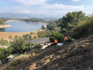 景观工人在洛杉矶一座水库的山坡上工作