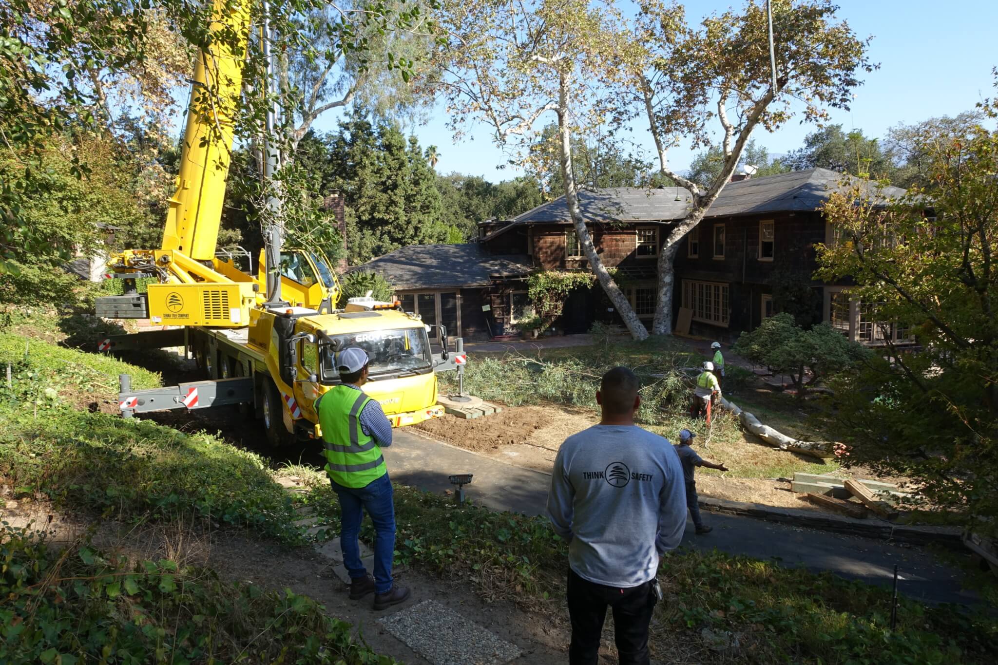 加利福尼亚南部的一棵树被拆除
