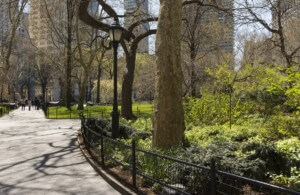 纽约市的一个公园
