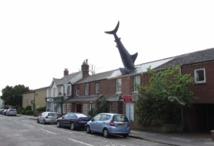 这是一排房子的街景，其中一排房子的屋顶上嵌着一条鲨鱼