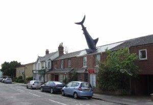 一排房屋的街景，鲨鱼嵌入了一个屋顶