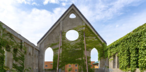 一座被植被覆盖的老教堂的外壳