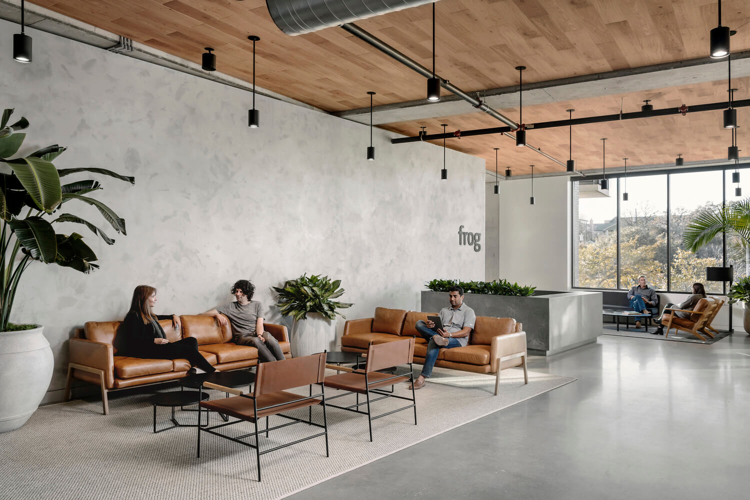 灰色墙壁和木质天花板的办公空间